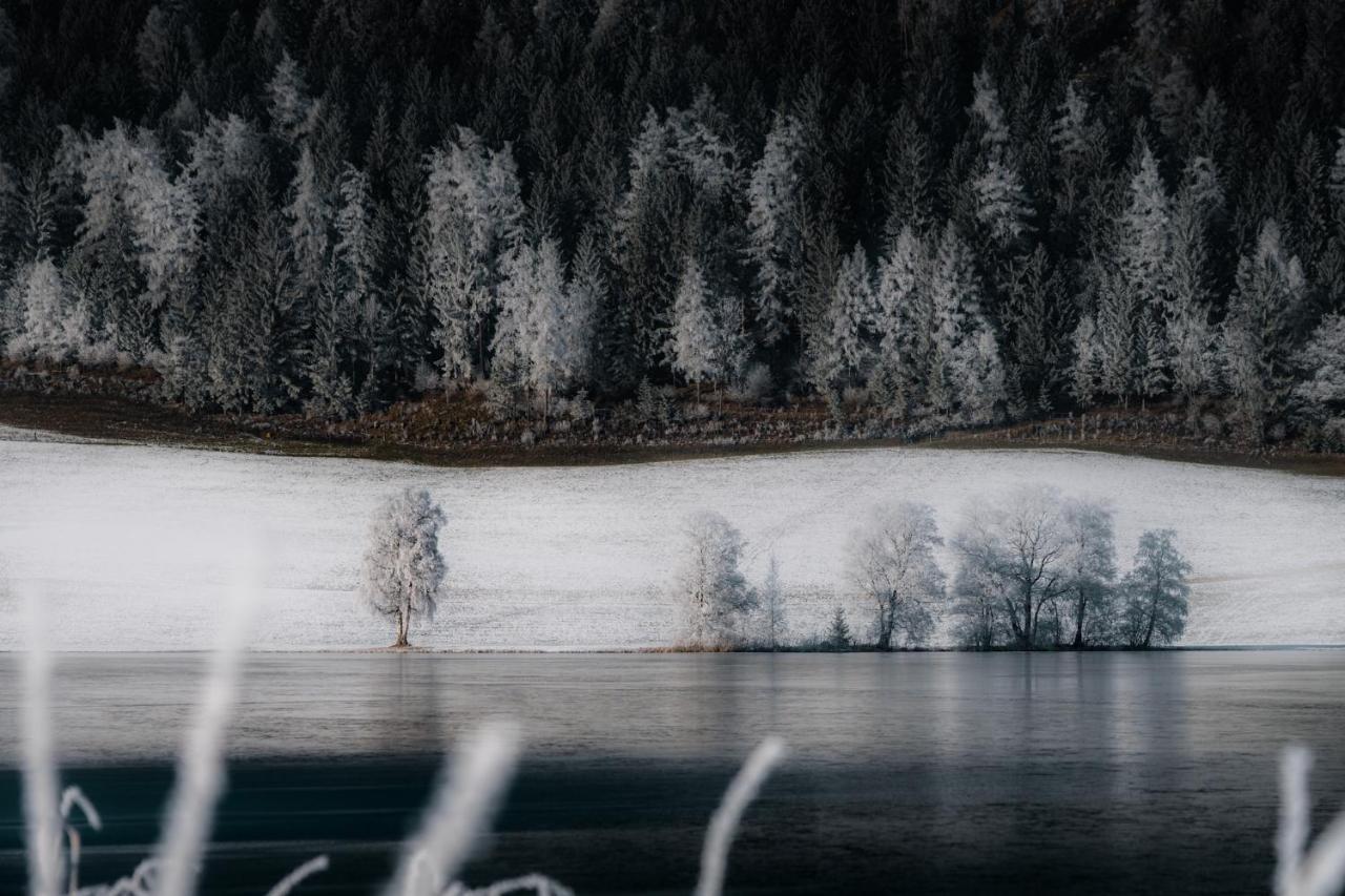 Pension Glitschnerhof Aigen im Ennstal Esterno foto
