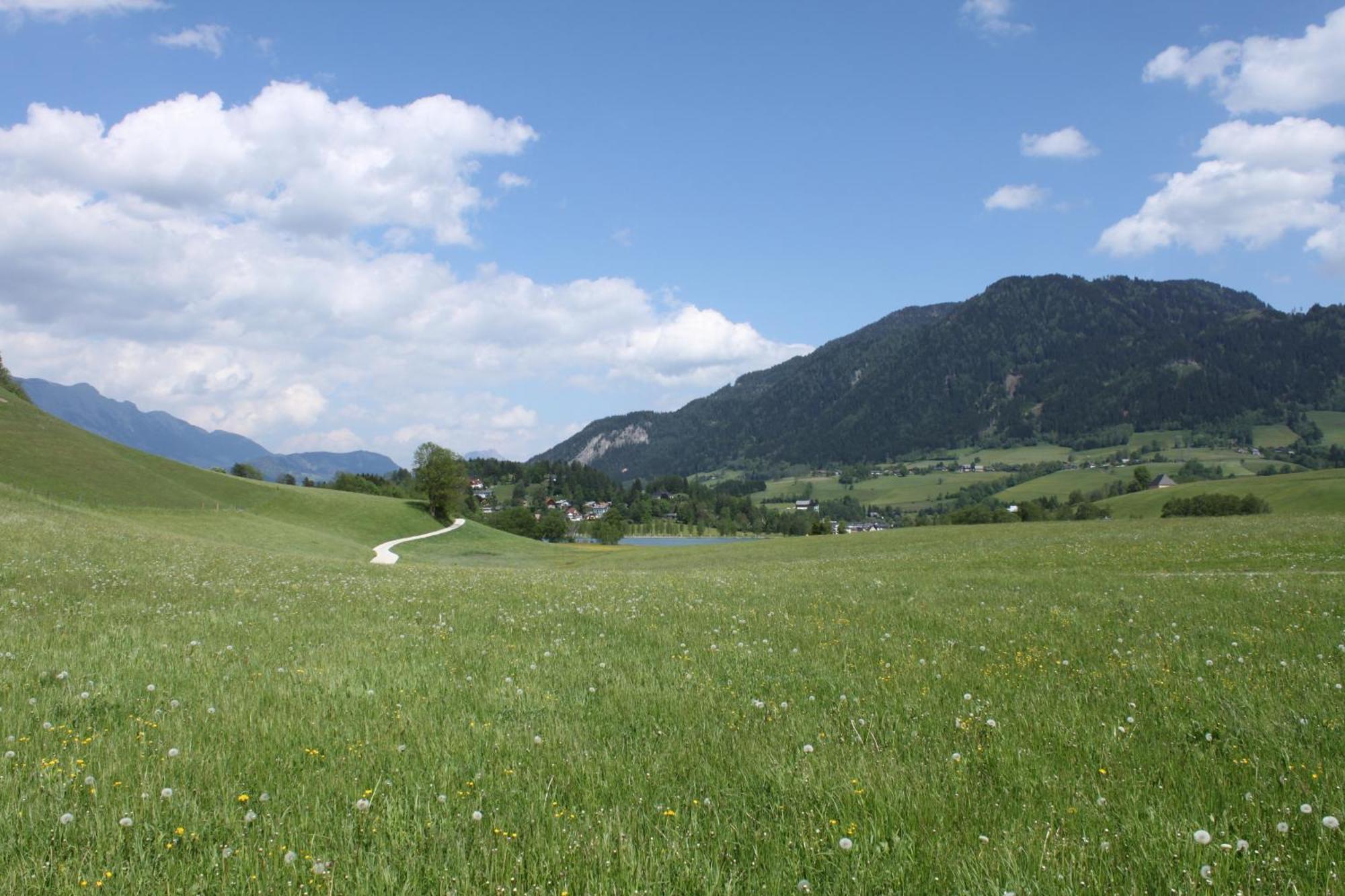 Pension Glitschnerhof Aigen im Ennstal Esterno foto