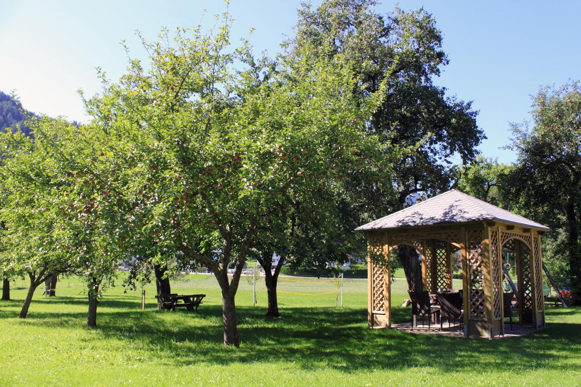 Pension Glitschnerhof Aigen im Ennstal Esterno foto