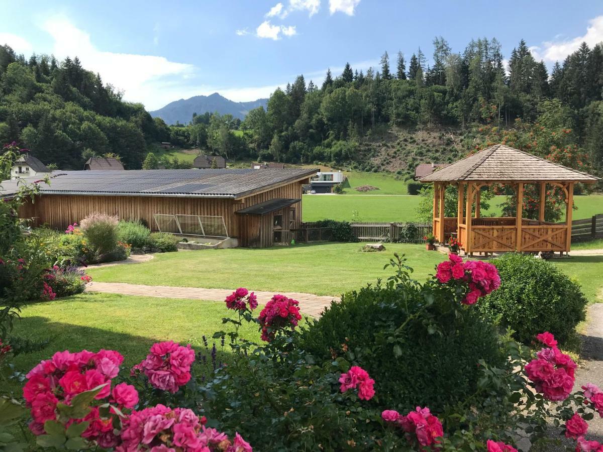 Pension Glitschnerhof Aigen im Ennstal Esterno foto